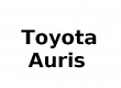 AURIS