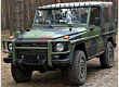 WOLF 1989-