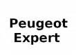 EXPERT