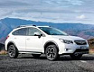 XV 